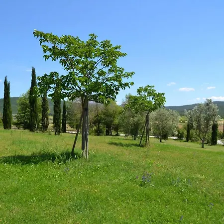 Mit Offenem Schlafboden Und Garten Campiglia Marittima