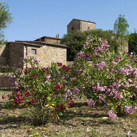 Mit Offenem Schlafboden Und Garten Daire Campiglia Marittima